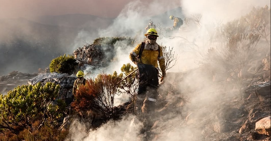 Public Safety Alert – Terrifying Attack Near Tokai Fire Scene